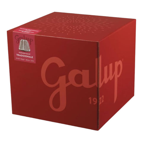 Galup Pandoro Tradizionale 750g