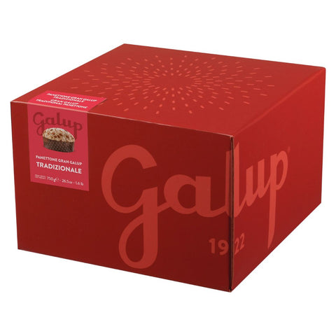 Galup Panettone Gran Galup Tradizionale (Traditional) 750g
